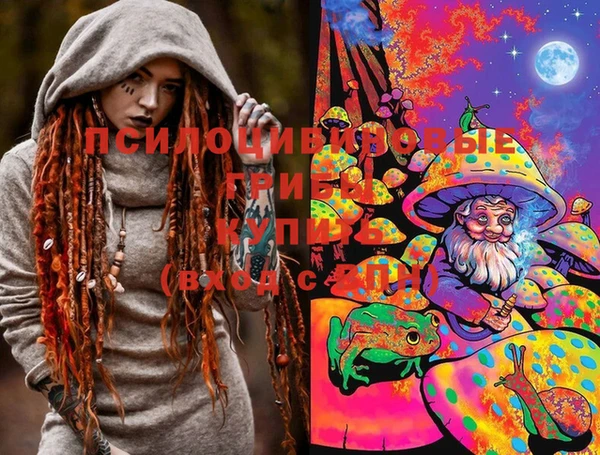 твердый Алзамай
