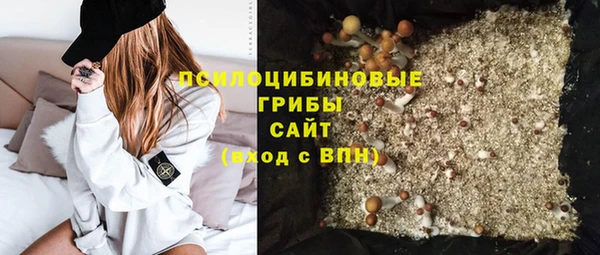 не бодяженный Алексин