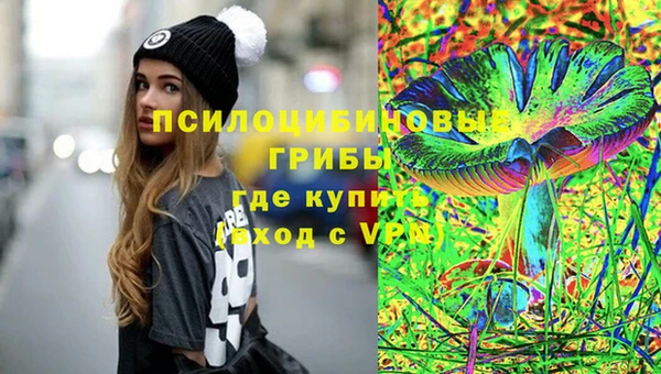 не бодяженный Алексин