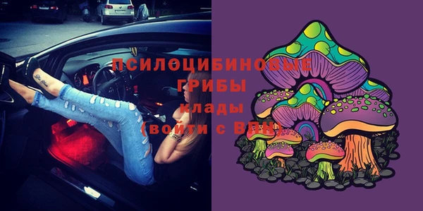 твердый Алзамай