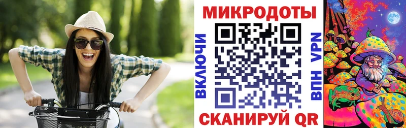 наркота  Богданович  Галлюциногенные грибы Magic Shrooms 