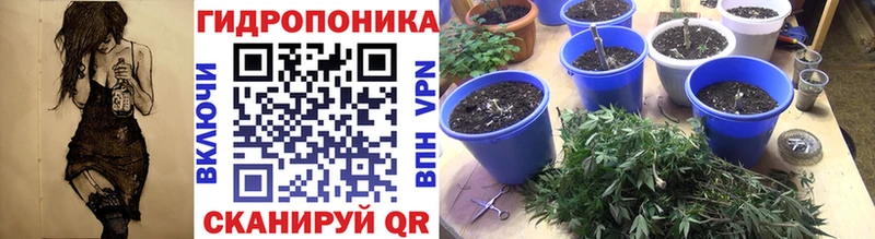 Шишки марихуана семена хочу наркоту Богданович